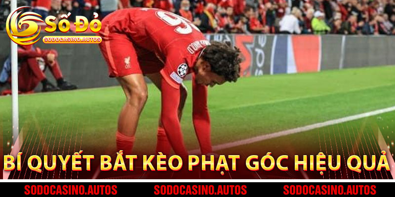Yếu Tố Ảnh Hưởng Khi Bắt Kèo Phạt Góc Chính Xác