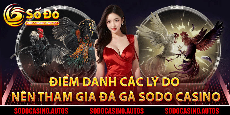 Lý Do Nên Chọn Đá Gà Tại Sodo Casino