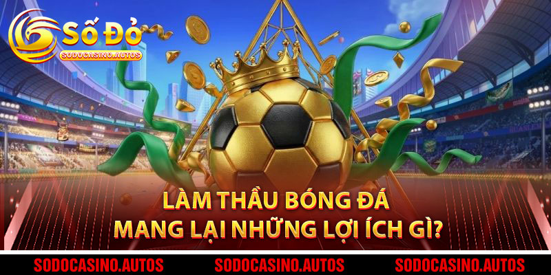 Làm Thầu Bóng Đá Mang Lại Những Lợi Ích Gì?