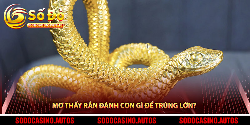 Mơ Thấy Rắn Đánh Con Gì? – Bảng Gợi Ý Con Số May Mắn