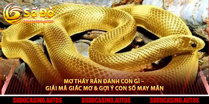 Mơ Thấy Rắn Đánh Con Gì – Giải Mã Giấc Mơ & Gợi Ý Con Số May Mắn