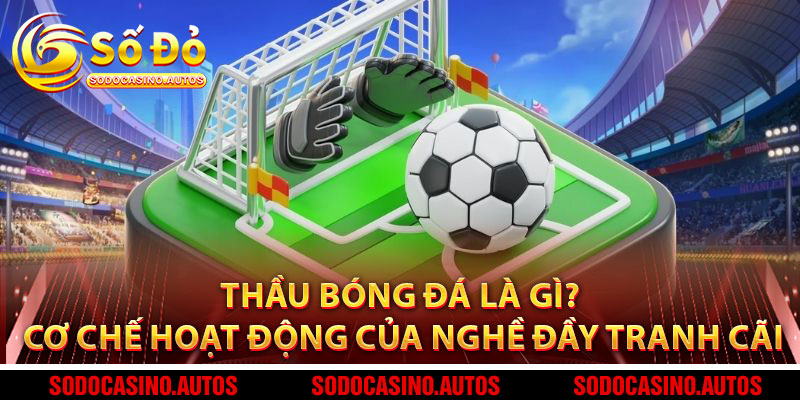 Thầu Bóng Đá Là Gì? Cơ Chế Hoạt Động Của Nghề Đầy Tranh Cãi